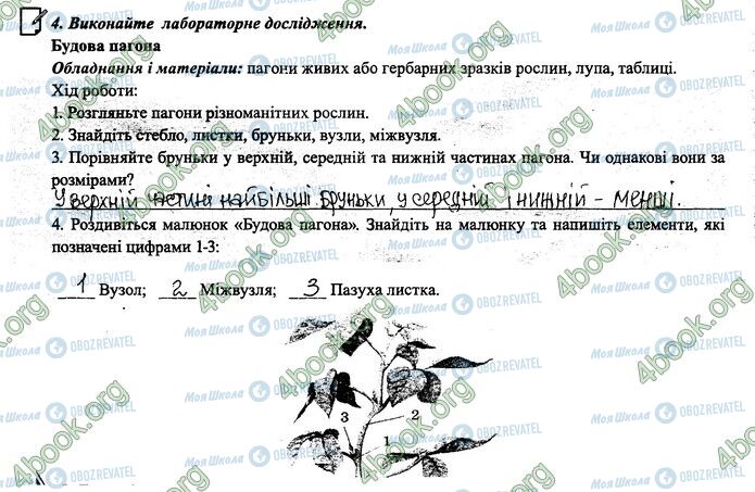 ГДЗ Биология 6 класс страница 28.4